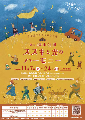 ススキと光のハーモニー